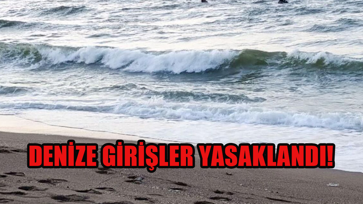 Ordu ve Giresun'da Denize Giriş Yasaklandı
