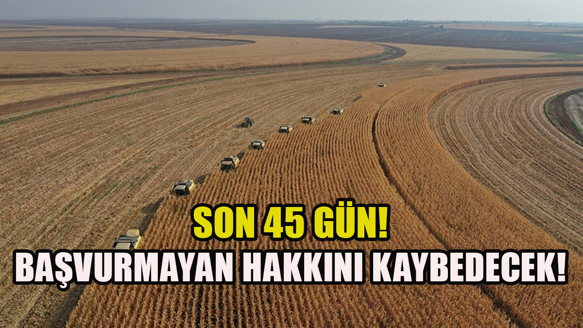 Atıl Tarım Arazileri İçin Yeni Kiralama Düzenlemesi